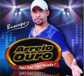 Arreio de Ouro 